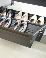 Pull Out Shoe Rack
